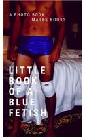 Little Book of blue Fetish