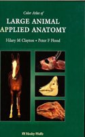 Color Atlas of Large Animal Applied Anatomy