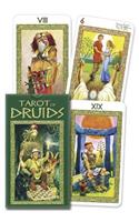 TC: Tarot Of Druids