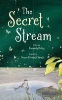 Secret Stream
