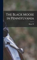 Black Moose in Pennsylvania