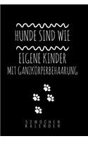 Hunde Sind Wie Eigene Kinder Mit Ganzkörperbehaarung