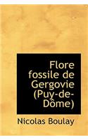 Flore Fossile de Gergovie Puy-de-Dome