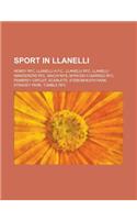 Sport in Llanelli