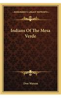 Indians of the Mesa Verde
