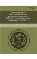 Characterization of Caenorhabditis Elegans Mechanosensory Protein-6 (Mec-6)