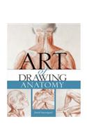 Art of Drawing Anatomy