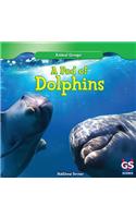 A Pod of Dolphins: (Animal Groups)