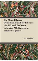 Die Alpen-Pflanzen Deutschlands Und Der Schweiz - In 400 Nach Der Natur Colorirten Abbildungen in Naturlicher Grosse