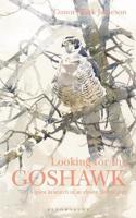 Looking for the Goshawk