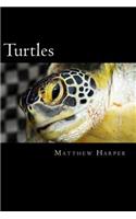 Turtles: A Fascinating Book Containing Turtle Facts, Trivia, Images & Memory Recall Quiz: Suitable for Adults & Children(Matthew Harper)