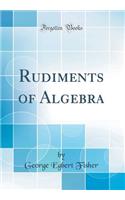 Rudiments of Algebra (Classic Reprint)