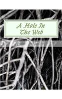 Hole In The Web