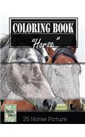 Horse Sketch Gray Scale Photo Adult Coloring Book, Mind Relaxation Stress Relief