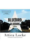Bluebird, Bluebird Lib/E