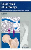 Color Atlas of Pathology: Pathologic Principles, Associated Diseases, Sequelae