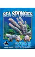Sea Sponges