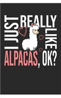 I Just Really Like Alpacas, OK?