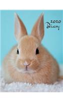 2020 Diary: Rabbit Lovers Week to View Organiser: Paperback Notebook Style Planner