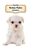 2020 Bichón Maltés Calendario: 107 Páginas Tamaño A5 Planificador Semanal 12 Meses 1 Semana en 2 Páginas Agenda Semana Vista Tapa Blanda Perro
