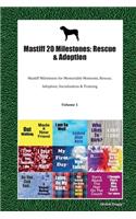 Mastiff 20 Milestones