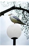 Seagull on a Lamp Post journal: Take Notes, Write Down Memories in this 150 Page Lined Journal