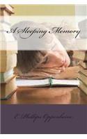 A Sleeping Memory