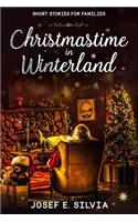 Christmastime in Winterland