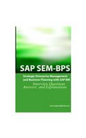 SAP Sem Bps Interview Questions: Strategic Enterprise Management and Business Planning with SAP Sem