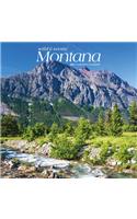 Montana Wild & Scenic 2021 Square
