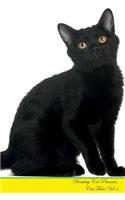 Bombay Cat Presents: Cat Facts Workbook. Bombay Cat Presents Cat Facts Workbook with Self Therapy, Journalling, Productivity Tracker with Self Therapy, Journalling, Prod