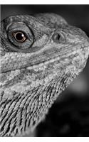 Bearded Dragon Notebook