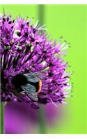 Flora Notebook: 150 Lined Pages, Softcover, 6 X 9