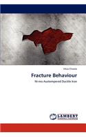 Fracture Behaviour