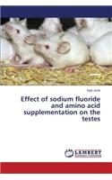 Effect of sodium fluoride and amino acid supplementation on the testes