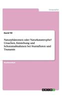 Naturphänomen oder Naturkatastrophe? Ursachen, Entstehung und Schutzmaßnahmen bei Sturmfluten und Tsunamis