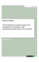 Verwendung der Snapchat App in der Alltagspraxis. Handlungs- und Kommunikationsformen in Social Media