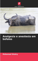 Analgesia e anestesia em búfalos