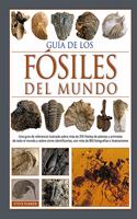 GUIA DE LOS FOSILES DEL MUNDO (GUIAS DEL NATURALISTA) (Spanish Edition)