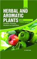 HERBAL AND AROMATIC PLANTS - Psidium guajava (GUAVA)