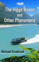 Higgs Boson and Other Phenomena