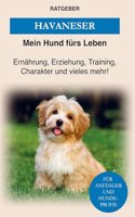 Havaneser: Havaneser Erziehung, Ernahrung, Charakter von Havaneser