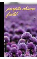purple chives field