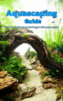 Aquascaping Guide