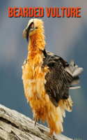 Bearded Vulture