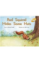 Red Squirrel Hides Some Nuts