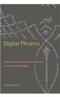 Digital Phoenix: Why the Information Economy Collapsed and How It Will Rise Again