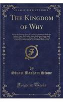 The Kingdom of Why: Being the Strange Story of Lucile's Adventures with the Sapient Sage, the Foolish Idea, the Striped Jester, and Other Folk, Creatures, Kings, Beasts, Bogies, Wizards and Witches Who Dwell in That Wonderful Land (Classic Reprint)