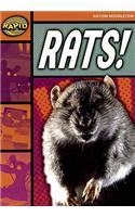 Rapid Reading: Rats! (Stage 4, Level 4B)