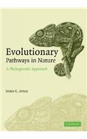 Evolutionary Pathways in Nature